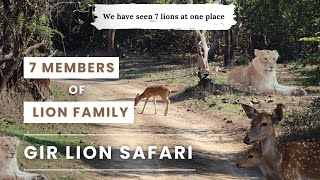 Jungle Safari I Sasan Gir I Lion Family | Gir National Park