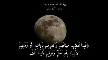فبما نقضهم ميثاقهم وكفرهم بآيات الله وقتلهم الأنبياء بغير حق