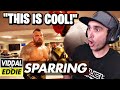 Summit1g Reacts to EDDIE HALL VS VIDDAL RILEY - FULL SPARRING VIDEO!