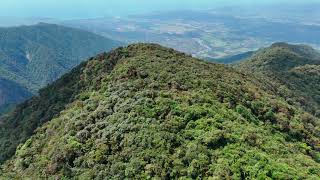 Deploying 19 Mothboxes On Top Of Remote Jungle Mountain