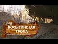 Тропа Косыгина  Кисловодск  Курортный парк Туристская тропа