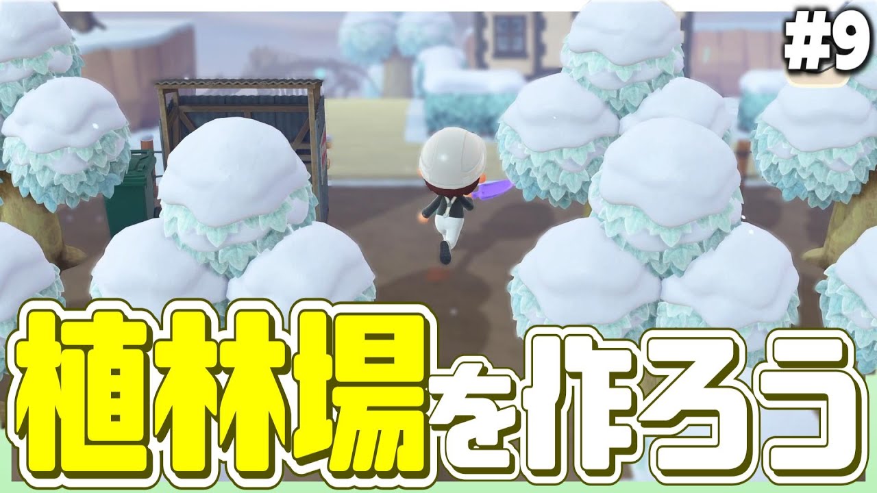 【あつ森】植林場を作ろうと思ったら、なぜか森が爆誕した。#9【あつまれどうぶつの森】