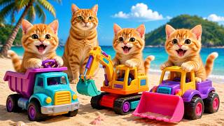 Live 🔴Mama Cat And Kitten✨Funny Cat | Kucing 🌻 Cat Videos 😿 Cute Cat | Meow Meow screenshot 3