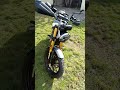 bulgbulg 400X #triumph
