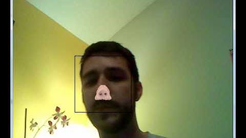 Facial tracking with Flash