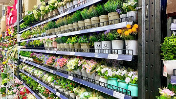 Affordable prices of building equipment - Everything you need is here-Building in Ghana