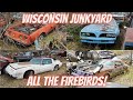 Trans am firebirds sitting in a wisconsin junkyard