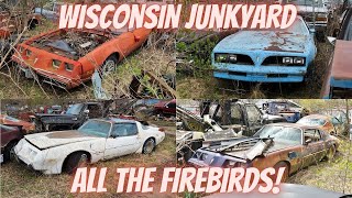 Trans Am Firebirds sitting in a Wisconsin Junkyard!