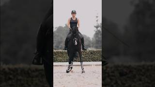 My edit for - @blackequine.official edit competition 🖤 || #shorts #horse