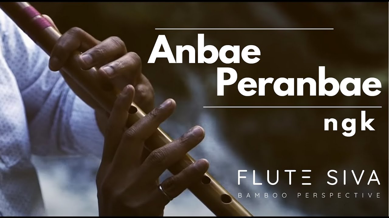 Anbae Peranbae Video Song  NGK  Flute Siva  Yuvan Shankar Raja  Sid Sriram  Shreya Ghoshal