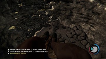 The forest sinkhole and turtle shell