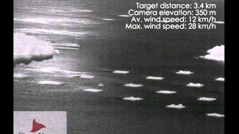 Gradiant Video Analytics - Sun Reflections