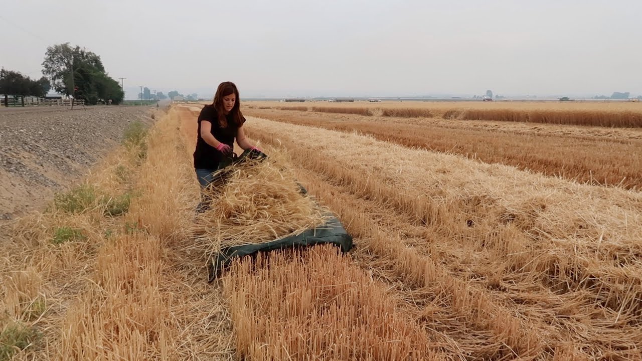 Making Wheat Wreaths with my Mom! 💛🌾🥰 // Garden Answer