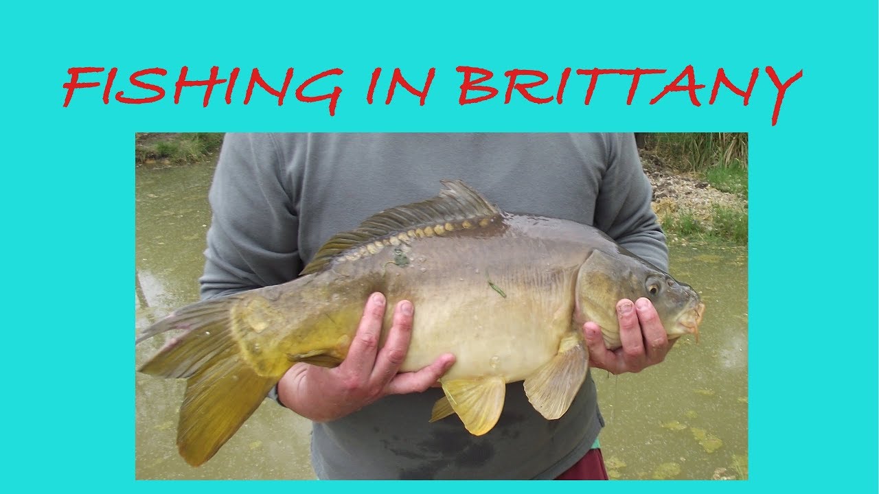 Fishing in France  - Carp Fishing in Brittany France