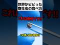 世界がビビった着色料の正体