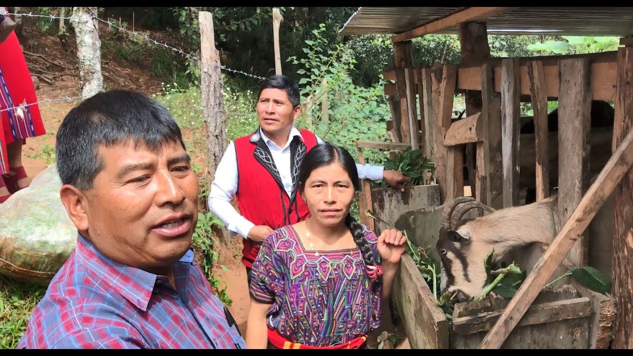 ⁣A Hopeful Visit to a Thriving Family Farm in Guatemala