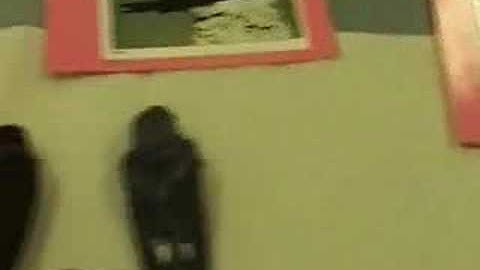 Violet-green swallow (VGSW)