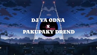 DJ YA ODNA X PAKU PAKU DREND TIKTOK/CHINIMUSIC