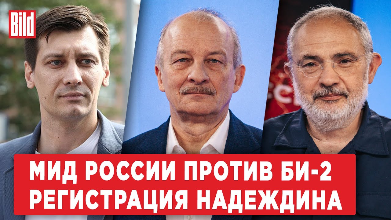 Дмитрий Гудков, Сергей Алексашенко, Марат Гельман | Обзор от BILD - YouTube