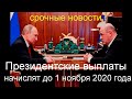 Президентские выплаты по 9200₽ на каждого ребенка с 3 лет начислят до 1 ноября 2020 года