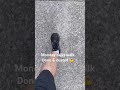 Morning Walk Scenery | On Cloud Sneakers &amp; Walk of Life