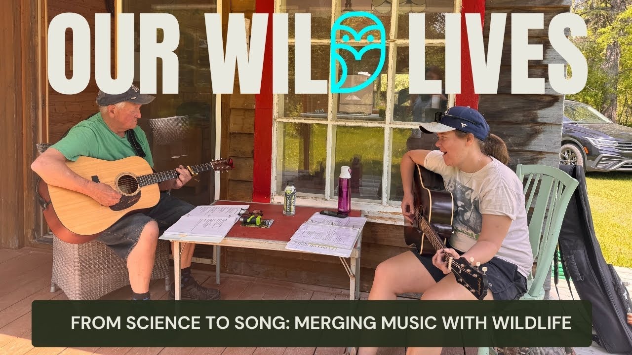 From Science to Song: Merging Music and Wildlife