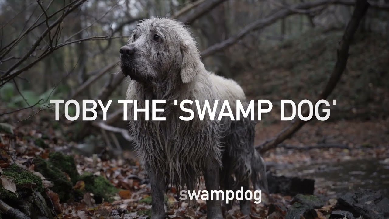 Jeep UK | Jeep Life | Muddy Dogs - YouTube