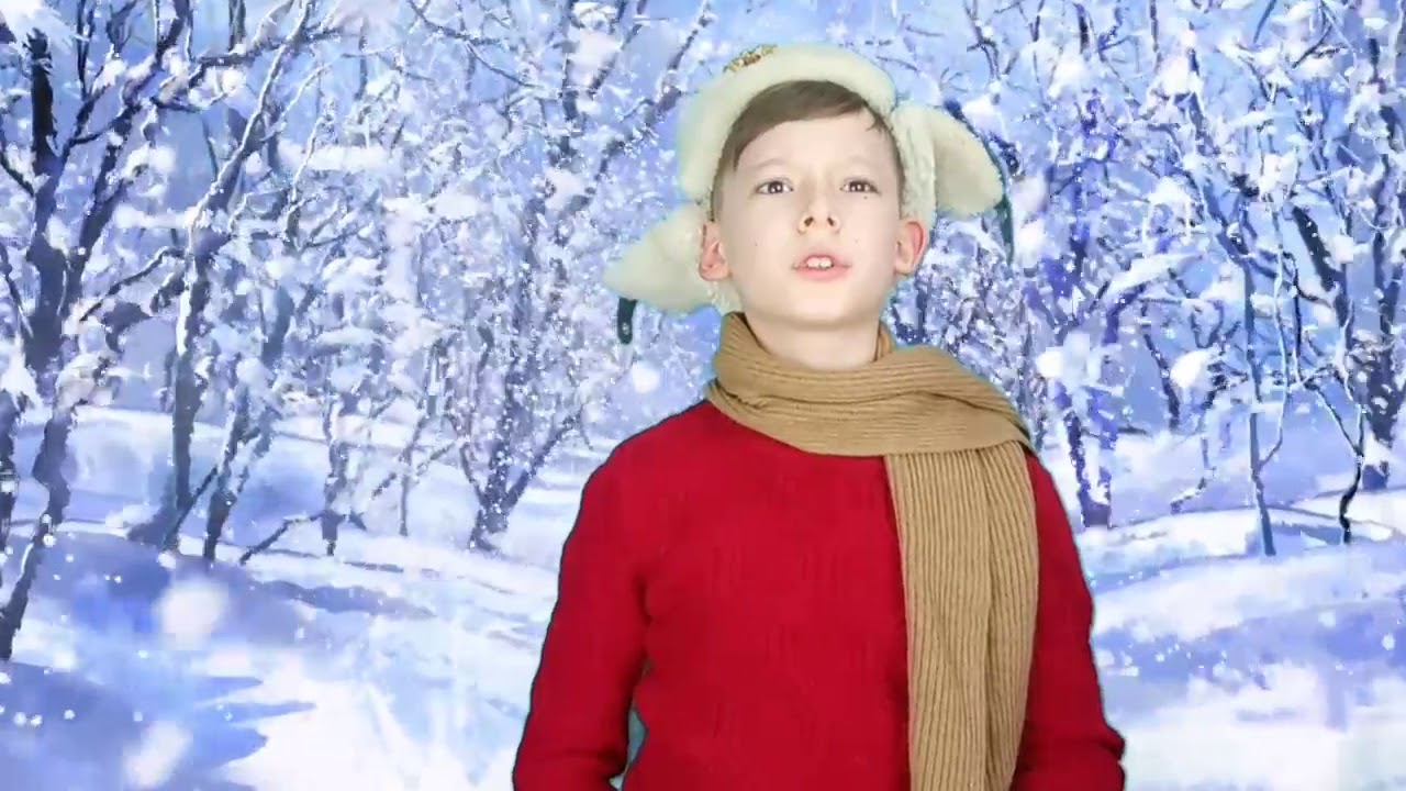 "Зимой" Соколов-Микитов. Читает Арсений Адонин. - YouTube