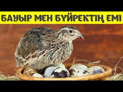 Бейне: Тауық ерігенше қанша уақыт бар?