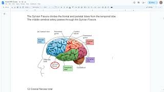 ARRT MRI Registry Exam Review - Part 2