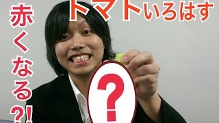 いろはすトマトは振ると不思議と赤くなる？！