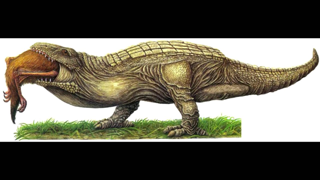 the new dinosaurs an alternative evolution
