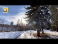 ASMR Walk 🇨🇦 Winter Morning Walking Tour| Canadian Winter | カナダ・朝の散歩