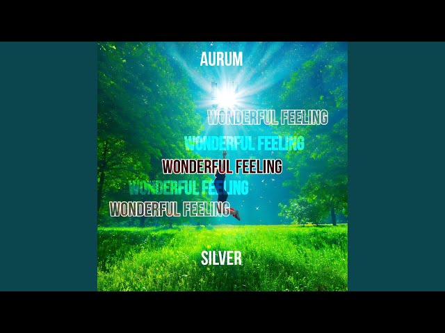 Wonderful Feeling