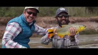 Dorado at Juramento River, Salta