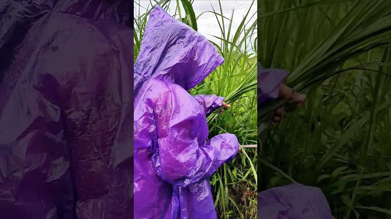 thumak thumak ❤️💃🌿