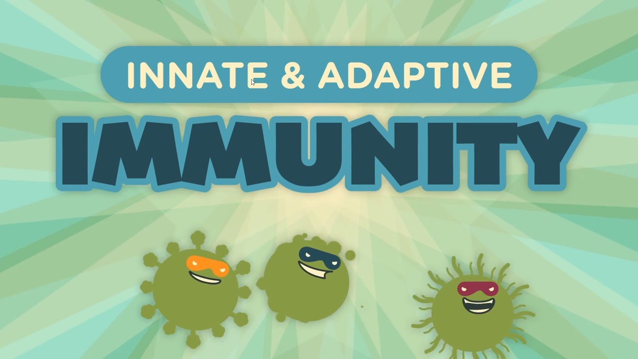 Innate  Adaptive Immunity