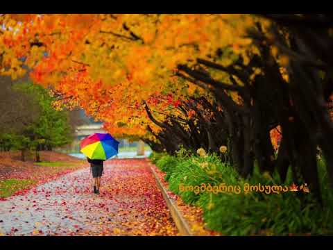 ნოემბერიც მოსულა Noemberic Mosula