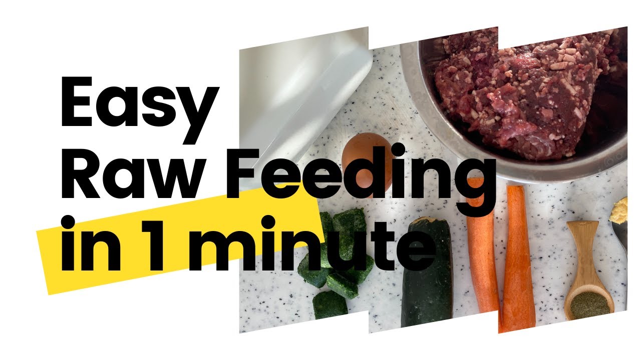 1 MINUTE EASY RAW FEEDING  | Raw recipe for your dog