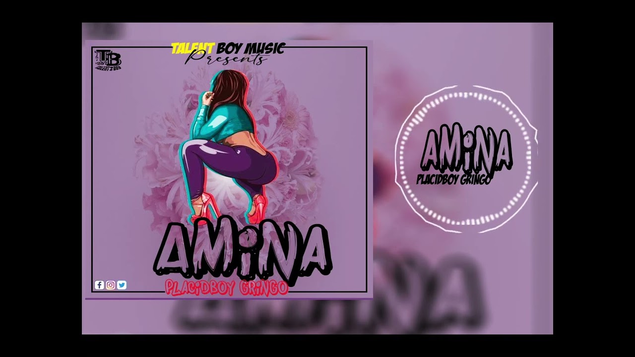 Amina _by Placidboy Gringo (official audio) 