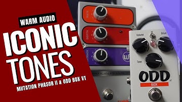 Warm Audio Pedals MUTATION PHASOR II & ODD Box V1 Guitar Demo