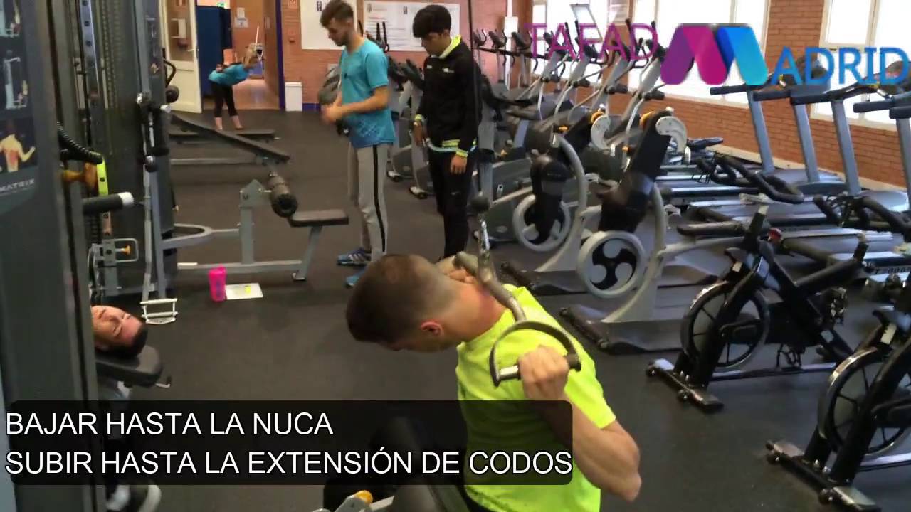 Musculación - Espalda: Jalón tras nuca agarre neutro camera iphone 8 plus apk