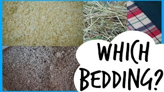 Bedding For Small Pets