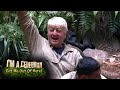 Campmates, Be Upstanding for Your New Prime Minister | I&#39;m A Celebrity... Get Me Out Of Here!