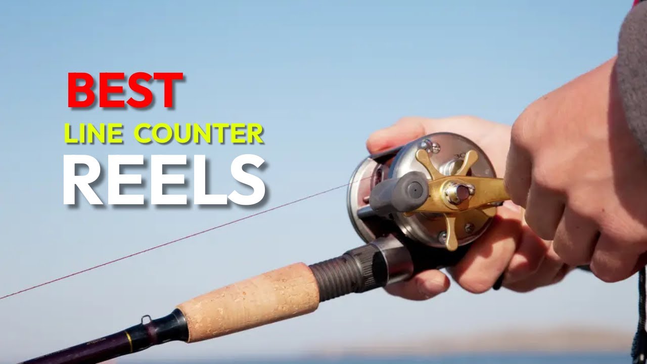 Best Line Counter Reels Reviewed In 2022 - Precision Trolling