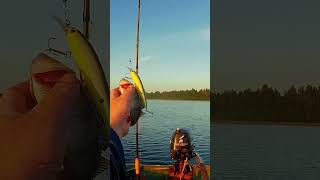 И первая поклёвка#рыбалка #селигер #аудиокнига
