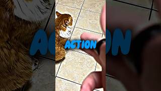 This Cat Might Be The Best Actor On The Internet