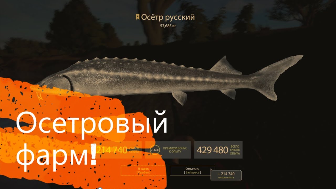 Мокту фар рыболовство