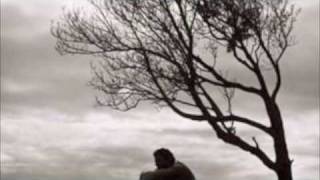 David Cook: Permanent (Lyrics in Description)