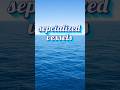 sepcialized vessels #ai #ship #merchantnavylife #Short's #shortsfeed